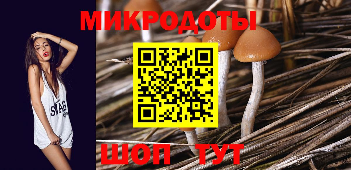 Чита  магазин    Вход с VPN  Галлюциногенные грибы прущие грибы  Псилоцибиновые грибы мухоморы 